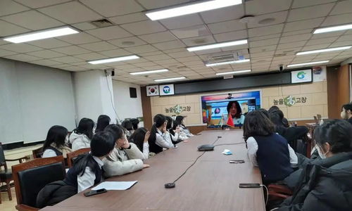 2021中韓學(xué)生線上文化交流活動在棗莊市實(shí)驗學(xué)校成功舉辦市場營銷策劃方案